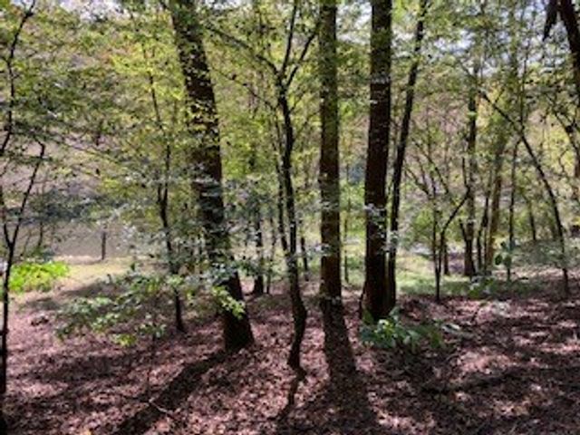 LT 2486 Novena Court, Ellijay, GA 30540