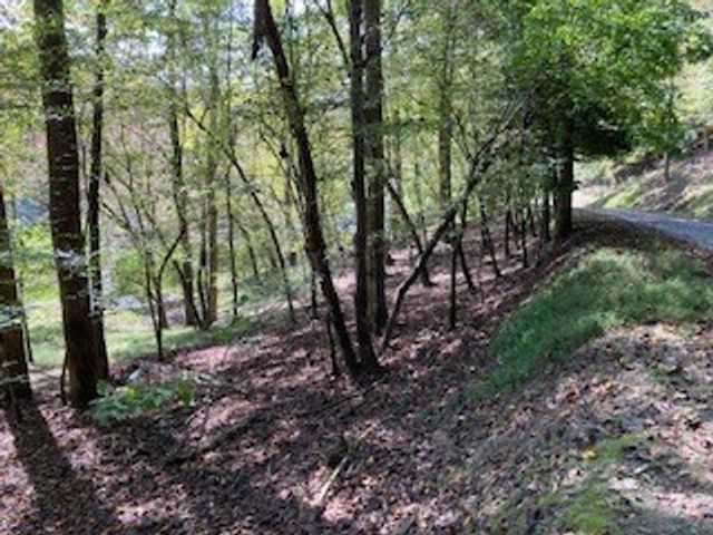 LT 2486 Novena Court, Ellijay, GA 30540