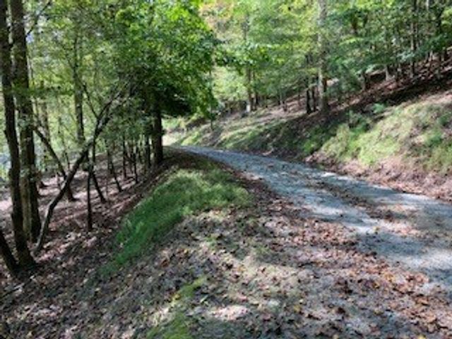 LT 2486 Novena Court, Ellijay, GA 30540