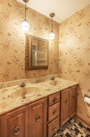 39W304 Hogan Hill, Elgin, IL 60124