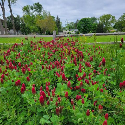 3942 S Troy AVENUE, Saint Francis, WI 53235