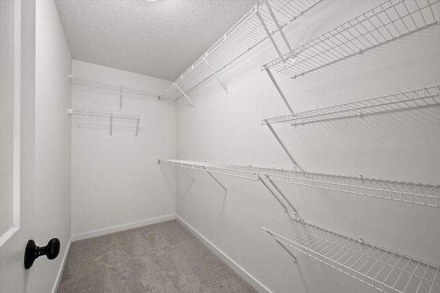 1974 S Lusitano Street, Shakopee, MN 55379