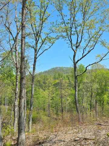 Lot 209 Oak Park Drive, Talking Rock, GA 30175