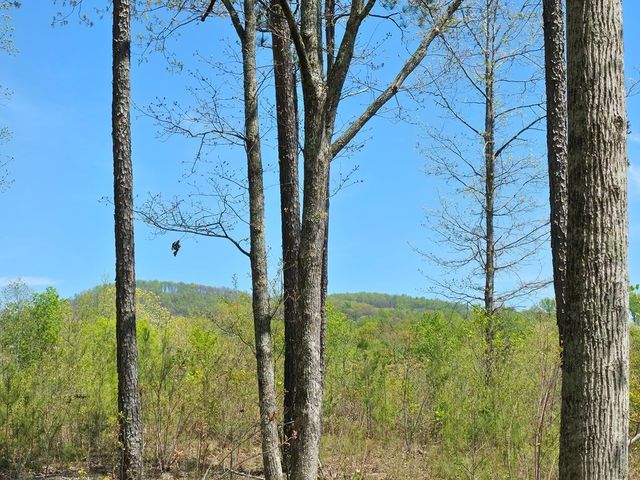 Lot 209 Oak Park Drive, Talking Rock, GA 30175