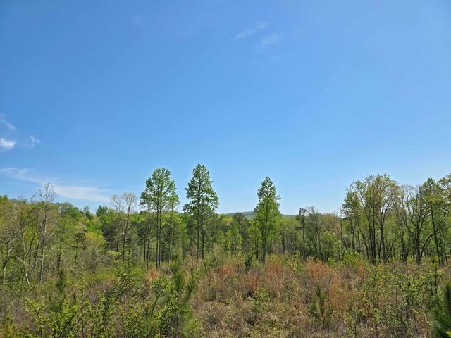 Lot 209 Oak Park Drive, Talking Rock, GA 30175