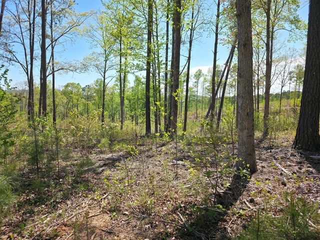 Lot 209 Oak Park Drive, Talking Rock, GA 30175