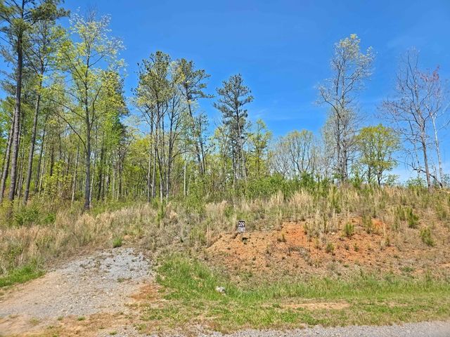 Lot 209 Oak Park Drive, Talking Rock, GA 30175