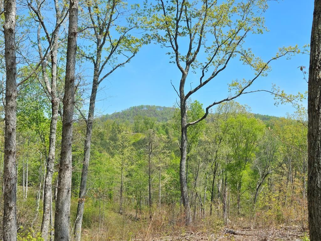 Lot 209 Oak Park Drive, Talking Rock, GA 30175