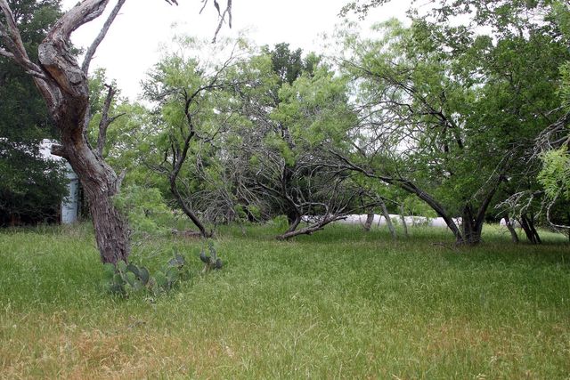 7887 Pettytown RD, Red Rock, TX 78662