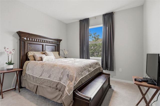 11316 SPOONBILL FLOCK WAY, San Antonio, FL 33576