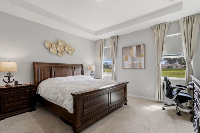 11316 SPOONBILL FLOCK WAY, San Antonio, FL 33576