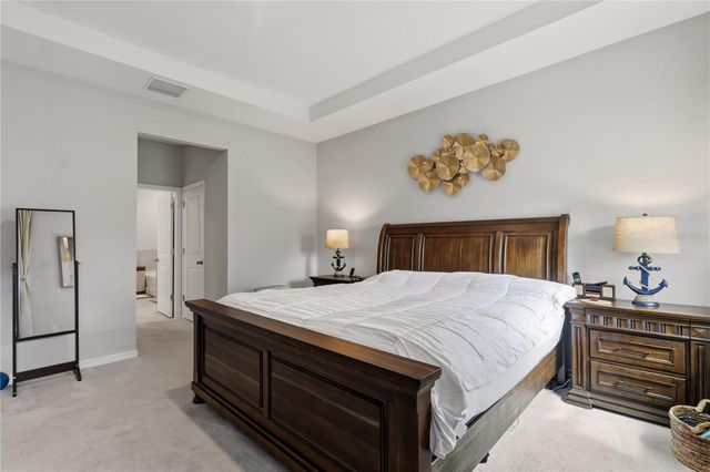 11316 SPOONBILL FLOCK WAY, San Antonio, FL 33576
