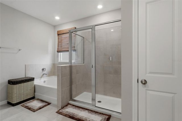 11316 SPOONBILL FLOCK WAY, San Antonio, FL 33576