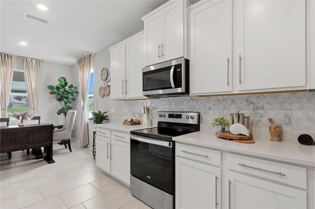 11316 SPOONBILL FLOCK WAY, San Antonio, FL 33576