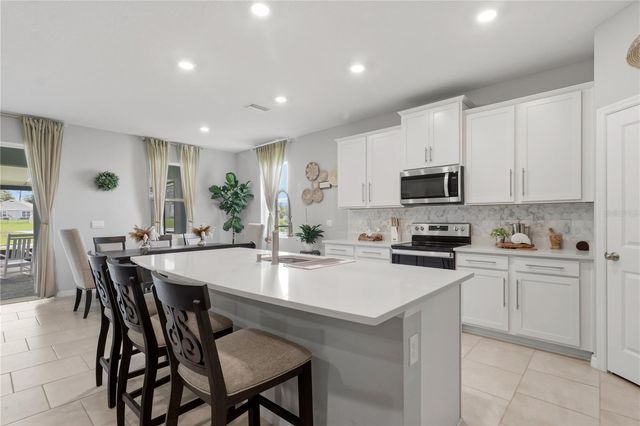 11316 SPOONBILL FLOCK WAY, San Antonio, FL 33576
