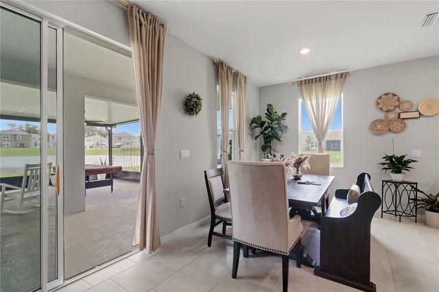 11316 SPOONBILL FLOCK WAY, San Antonio, FL 33576