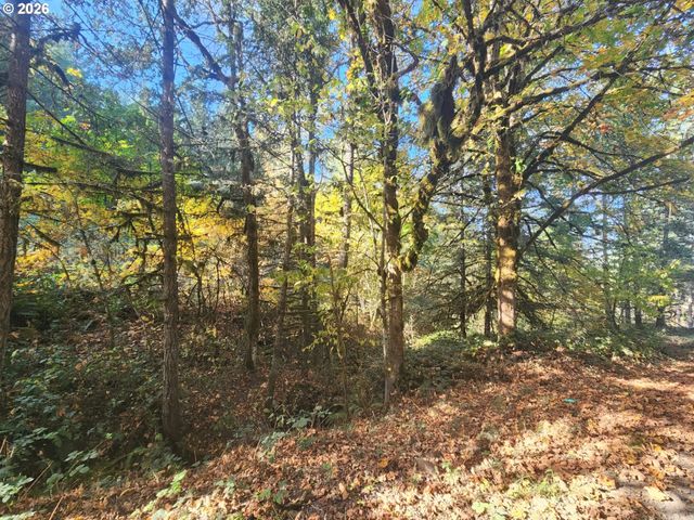 85266 CHEZEM Rd, Eugene, OR 97405