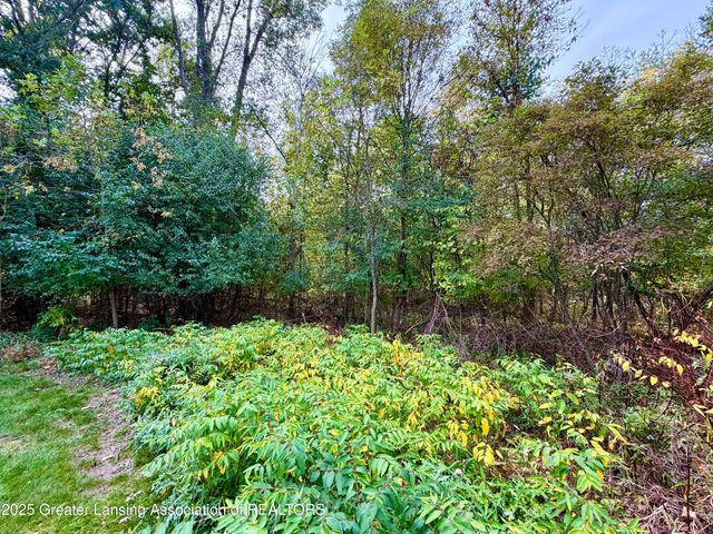 16790 Printemp Drive, East Lansing, MI 48823