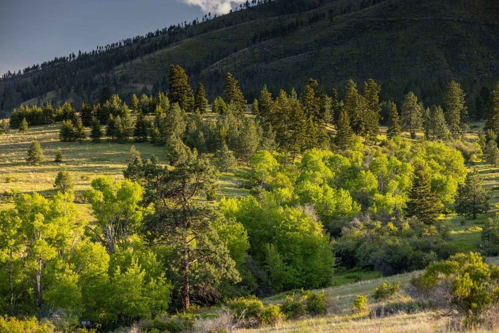 8337 Lamar Trail, Lolo, MT 59847 photo 11