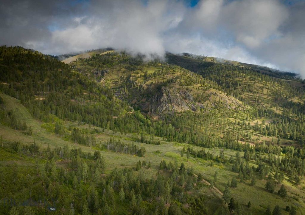 8337 Lamar Trail, Lolo, MT 59847 photo 13