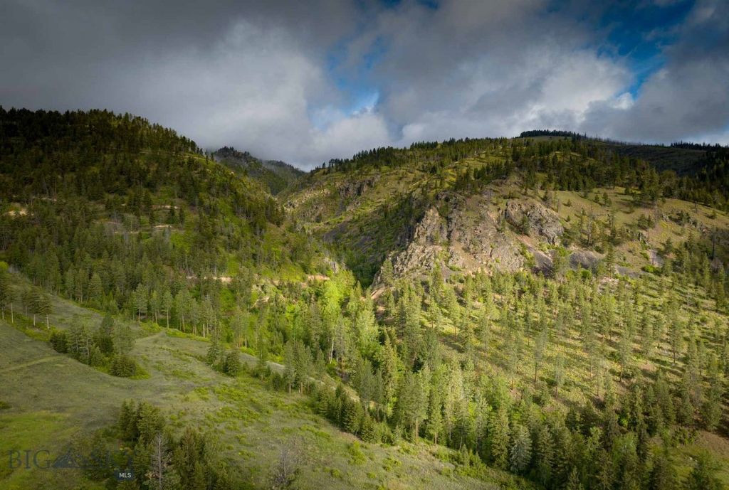 8337 Lamar Trail, Lolo, MT 59847 photo 17