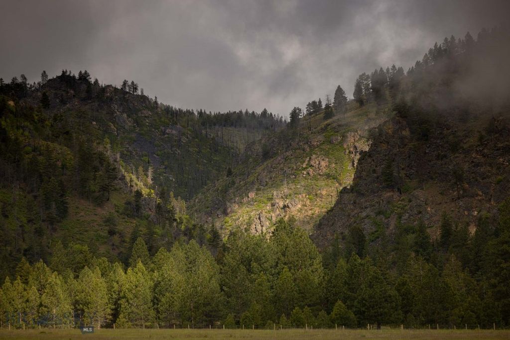 8337 Lamar Trail, Lolo, MT 59847 photo 21