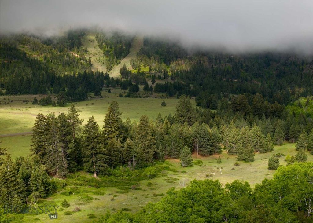 8337 Lamar Trail, Lolo, MT 59847 photo 22