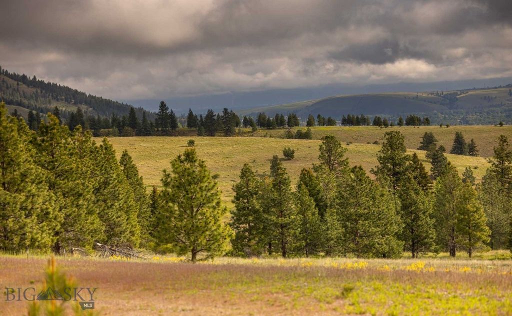 8337 Lamar Trail, Lolo, MT 59847 photo 24