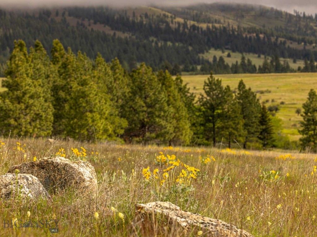 8337 Lamar Trail, Lolo, MT 59847 photo 25