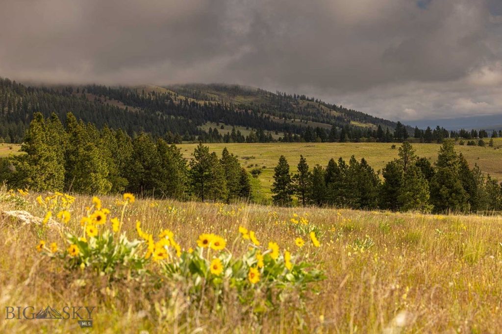 8337 Lamar Trail, Lolo, MT 59847 photo 26