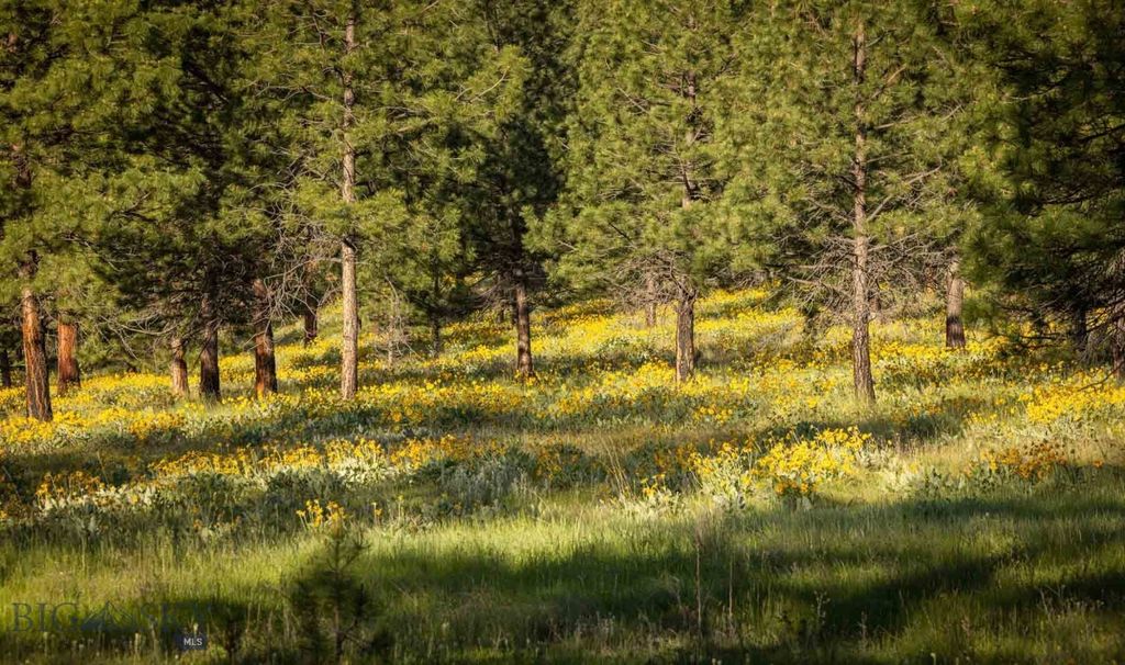 8337 Lamar Trail, Lolo, MT 59847 photo 31