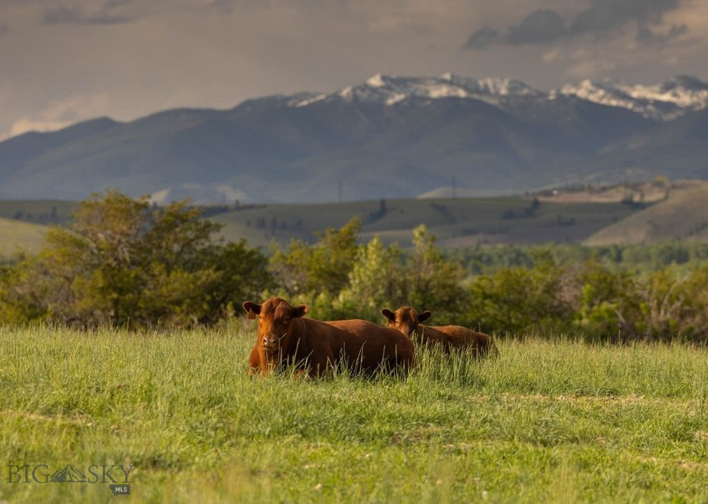 8337 Lamar Trail, Lolo, MT 59847 photo 34