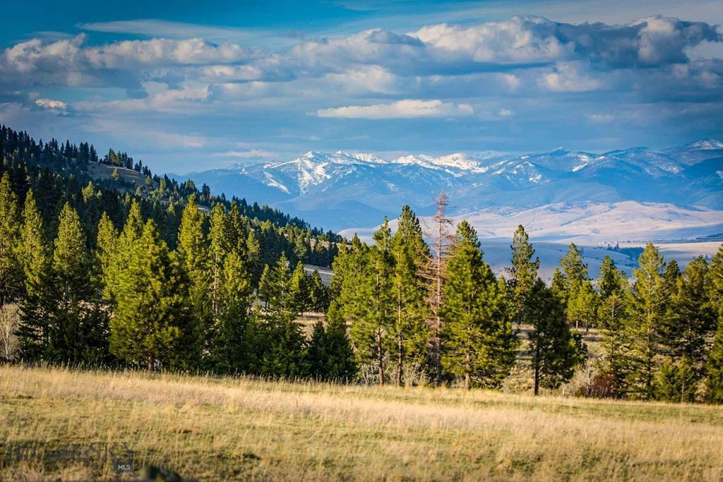 8337 Lamar Trail, Lolo, MT 59847 photo 35