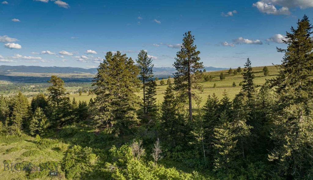 8337 Lamar Trail, Lolo, MT 59847 photo 4