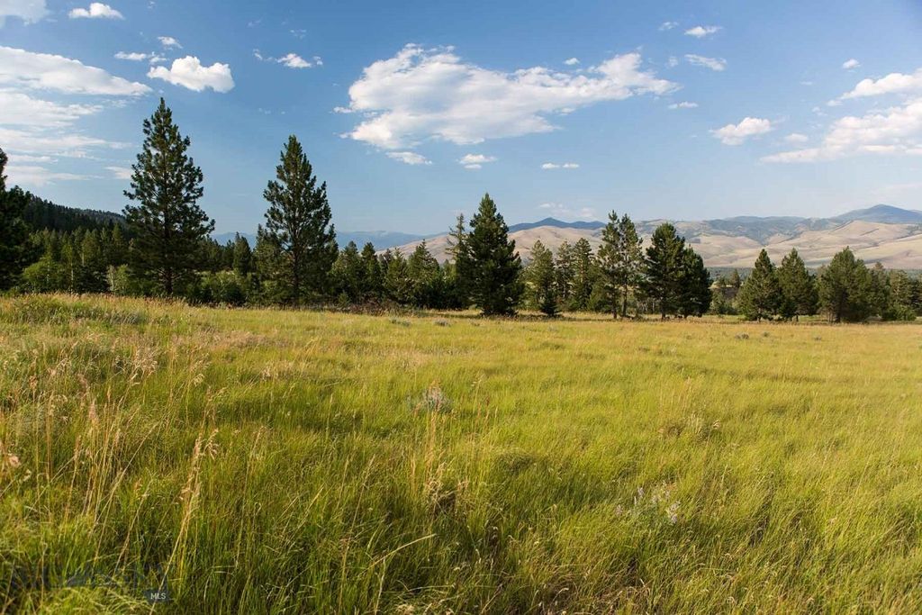 8337 Lamar Trail, Lolo, MT 59847 photo 43
