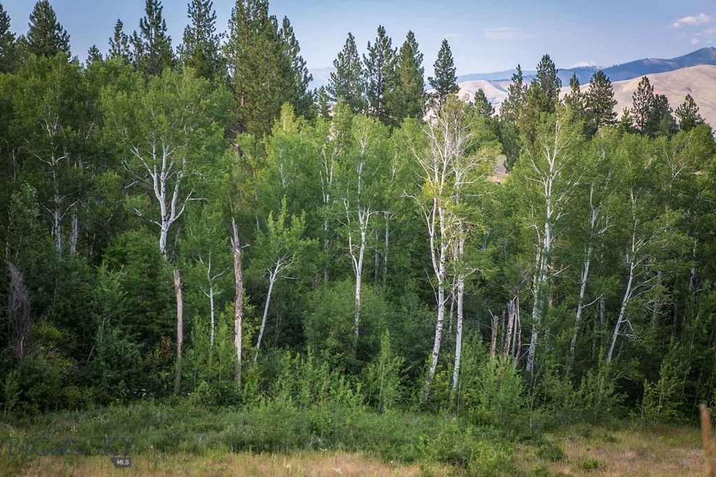 8337 Lamar Trail, Lolo, MT 59847 photo 44