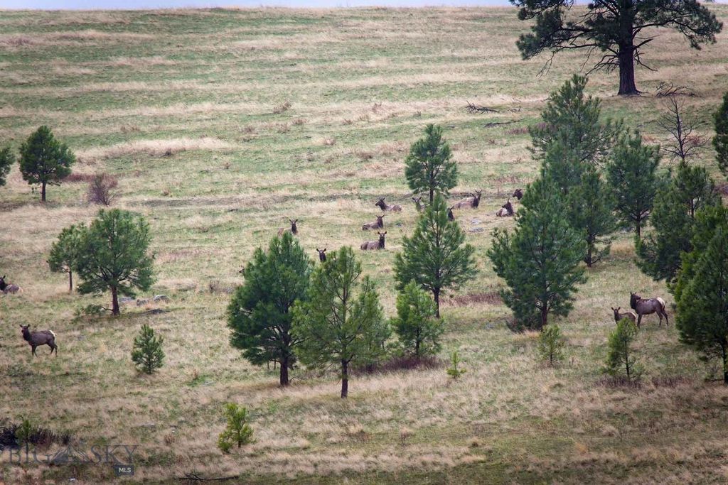 8337 Lamar Trail, Lolo, MT 59847 photo 47