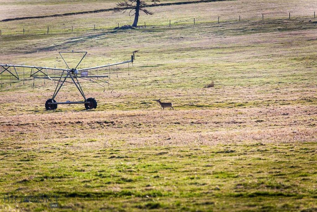 8337 Lamar Trail, Lolo, MT 59847 photo 49