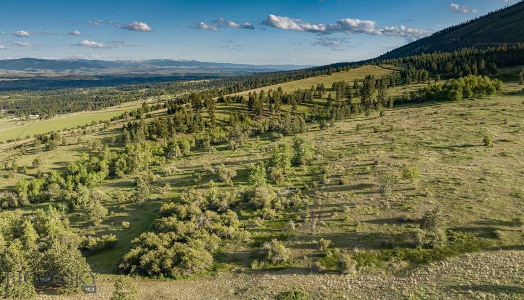 8337 Lamar Trail, Lolo, MT 59847 photo 5