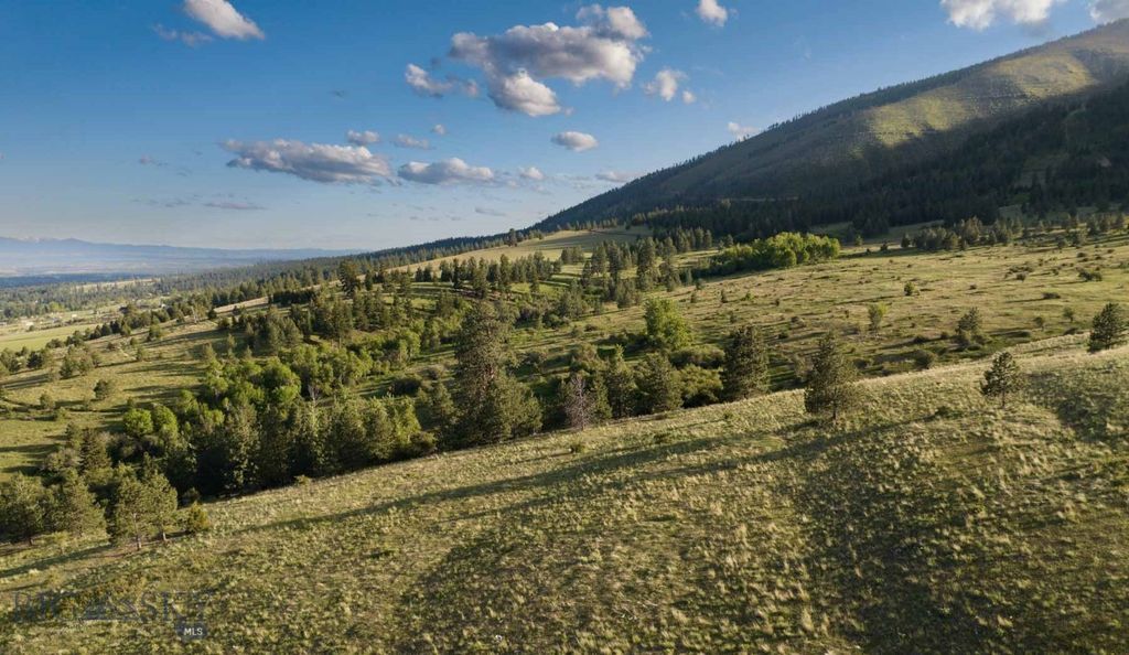 8337 Lamar Trail, Lolo, MT 59847 photo 8