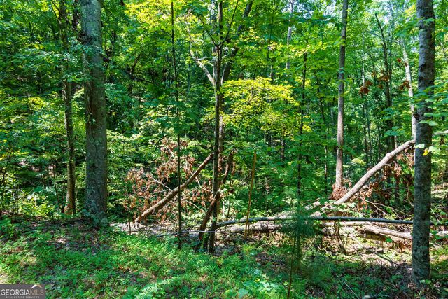 1145 Embry Court, Ranger, GA 30734