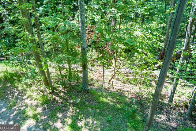 1145 Embry Court, Ranger, GA 30734