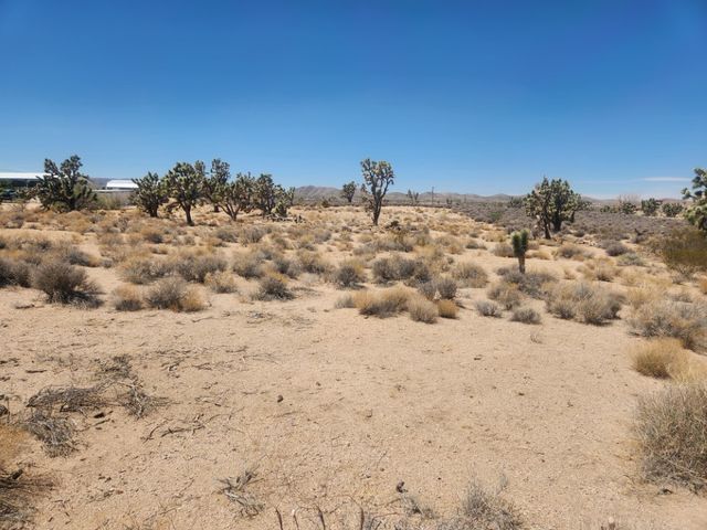 27085 N Apple Drive, Meadview, AZ 86444