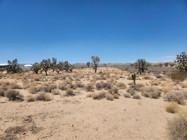 27085 N Apple Drive, Meadview, AZ 86444