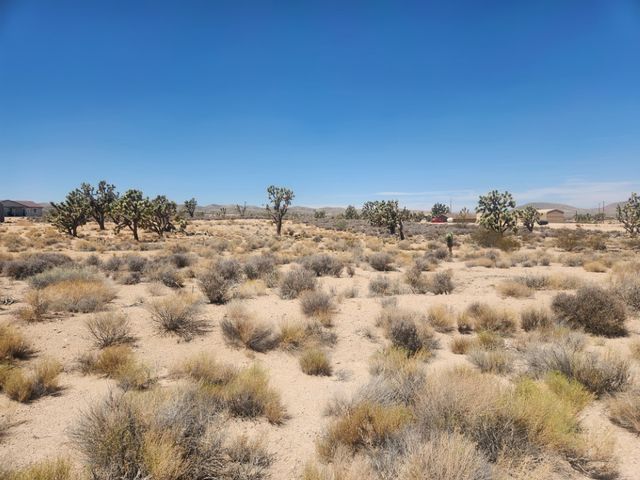 27085 N Apple Drive, Meadview, AZ 86444