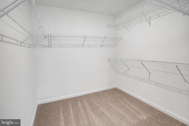 2000 DIVOT DR, Culpeper, VA 22701