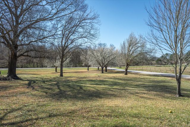 7596 FM 17, Grand Saline, TX 75140