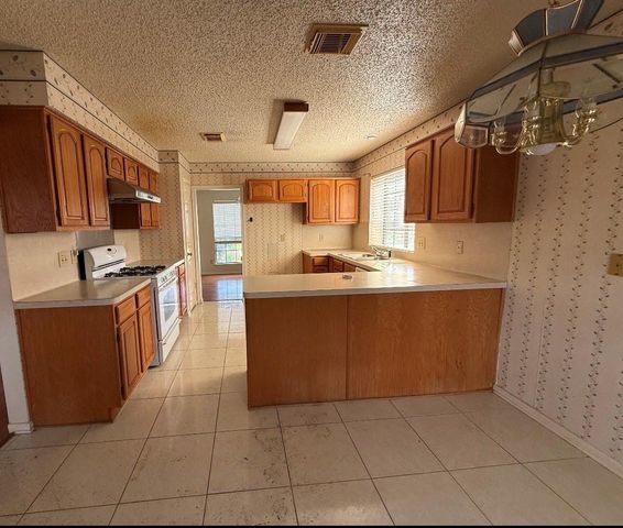 15118 Stoneyview Drive, Houston, TX 77083