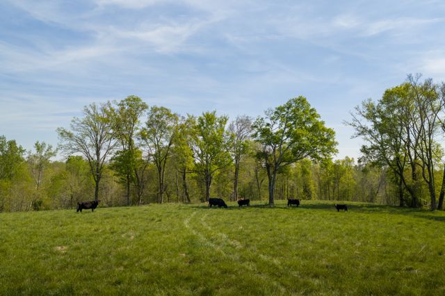 3345 Pigeon Roost Rd, Pulaski, TN 38478