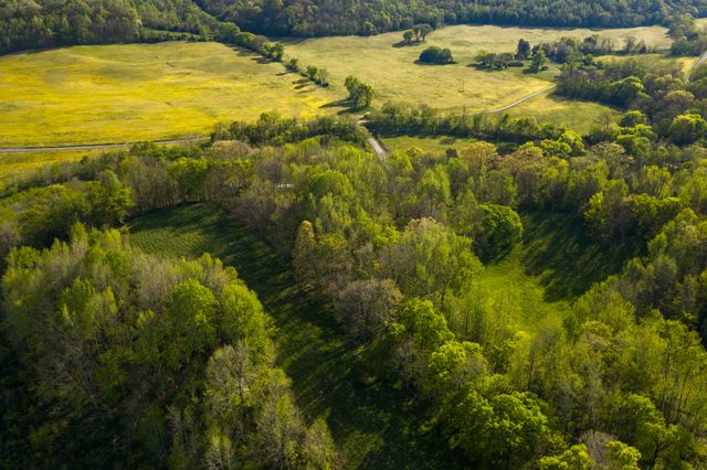 3345 Pigeon Roost Rd, Pulaski, TN 38478